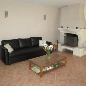 salon avec cheminée 